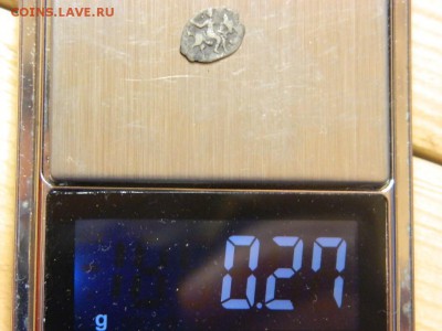 чешуйка - DSCN1379[1].JPG