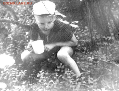 о фотографии, грустно... немолодым написано - Ладушкин. 1967. Много черники