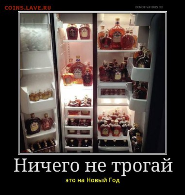 Какой алкоголь Вы будете пить на Новый Год?!? - 98qnnhdwjil8kxhq