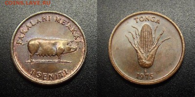 МОНЕТЫ МИРА 12-17 - Тонга – 1 сенити (1975) «ФАО; свиноматка, кукуруза» №1