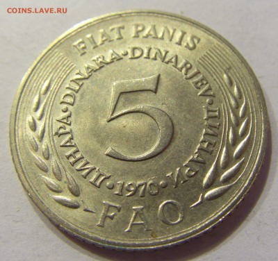5 динар 1970 ФАО Югославия №2 11.01.2018 22:00 МСК - CIMG8270.JPG