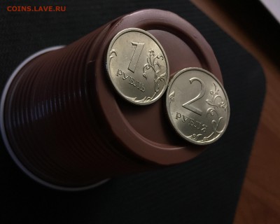 1р. 2009г. СПМД + 2р. 2009г. СПМД - в блеске - IMG_1515.JPG