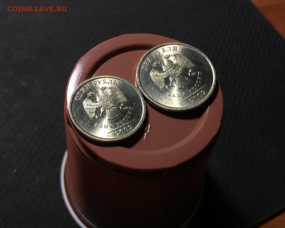 1р. 2009г. СПМД + 2р. 2009г. СПМД - в блеске - IMG_1507.JPG