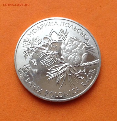 2 гривны 2001г модрина польская, до 14.01.18г - image