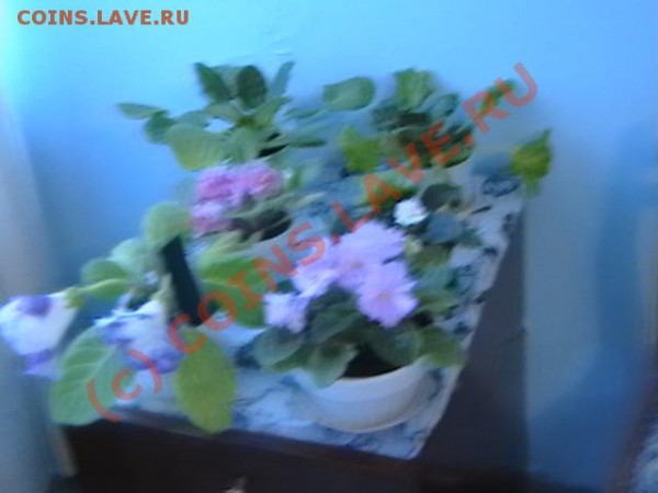 10000 1992 год - IMGA0272.JPG