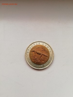 КК Зублефар с 200 до 11.01.2018 - IMG_20180108_092131-2592x3456