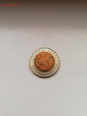 КК Тетерев с 200 до 11.01.2018 - IMG_20180108_092147-2592x3456