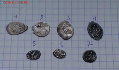 Помогите пожалуйста определить и оценить чешую - 20180107_154407