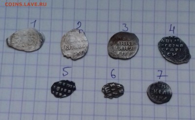 Помогите пожалуйста определить и оценить чешую - 20180107_154501