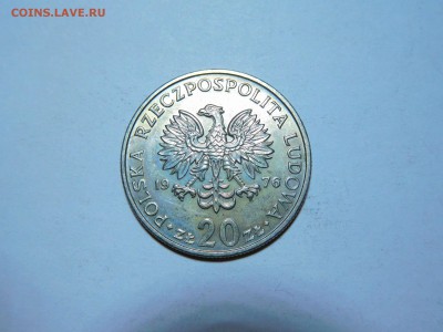 20 злотых Польши, Новотко, до 13.01.2018г. - DSCN3625_thumb