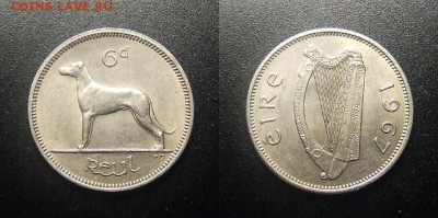 МОНЕТЫ МИРА 12-17 - Ирландия - 6 пенсов (1967) «Ирландский волкодав» №1-2