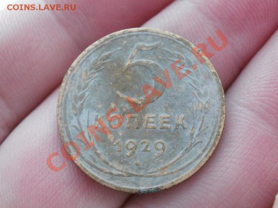 Предпродажная оценка 5 Копеек 1929г - P3270011.JPG