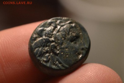 Антика. Селевкиды. Бык - CSC_0079.JPG