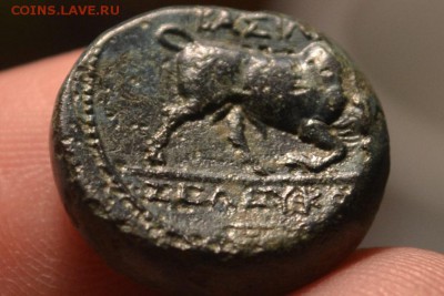 Антика. Селевкиды. Бык - CSC_0080.JPG