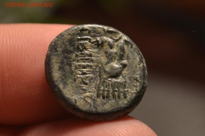 Антика.Пергам. - CSC_0106.JPG