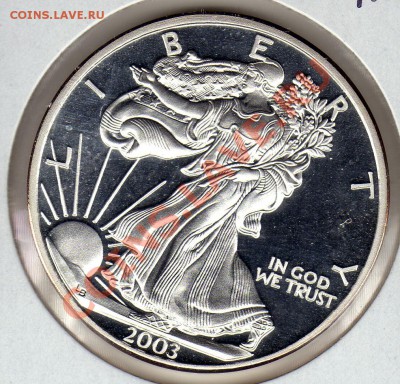 Ag США Шагающая свобода 2003 до 31.03.11 в 22.00мск - img613
