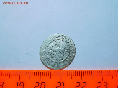 Полугрош Польши, 1492-1501гг., до 14.01.2018г. - DSCN3980_thumb