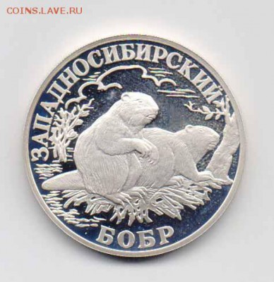 1 руб. 2001 г. Западносиб. бобр до 15.01.2018 г. 22-00 - Бобр-1.JPG