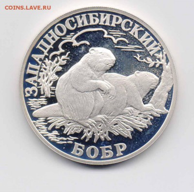 1 руб. 2001 г. Западносиб. бобр до 15.01.2018 г. 22-00 - Бобр-3