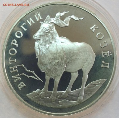 1 руб Винторогий козел 1993г 16.01.18 в 22-00 - DSC03261.JPG