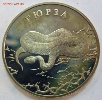 2 руб Гюрза 2010г 16.01.18 в 22-00 - DSC03277.JPG
