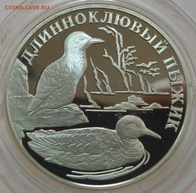 1 руб Длинноклювый пыжик 2005г 16.01.18 22-00 - DSC03286.JPG