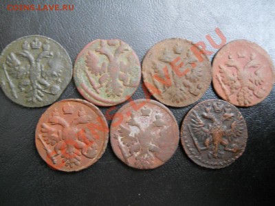 7 Монет. Полушки 1731(Перечекан),1735,1737(2),1738(2),1749. - 2.JPG