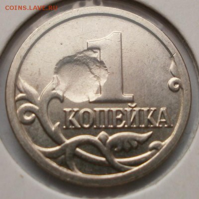 Браки на 1 копейке - P1111211.JPG