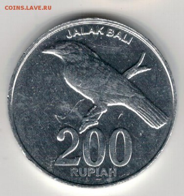 Индонезия 200 рупий 2003 Скворец до 15.01 в 22.00мск (Е515) - 4-1индон200а
