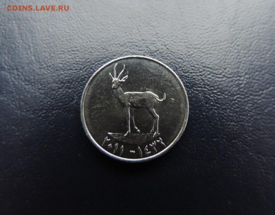 ОАЭ 25 филс 2011г., ДО 15.01. - ОАЭ 25 филс 2011г. В..JPG