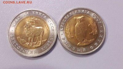 Красная книга 1991г: Филин+Винторогий Козел, до 18.01 - Филин-Козел-2