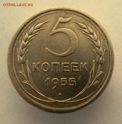 5 копеек 1955 г. до 17.01 в 22-00. - IMG_0173.JPG