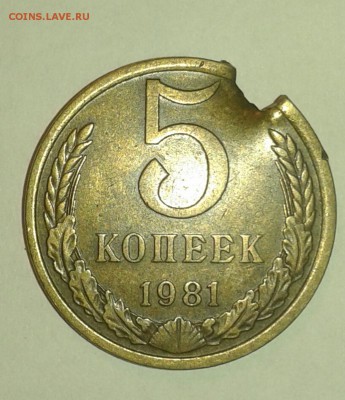 5 коп. 1981 г. Рукоблуд или дефект заготовки? - 5 коп. 1981