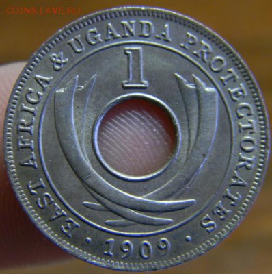 1 цент ва и уганда 1909 - DSCN3194.JPG