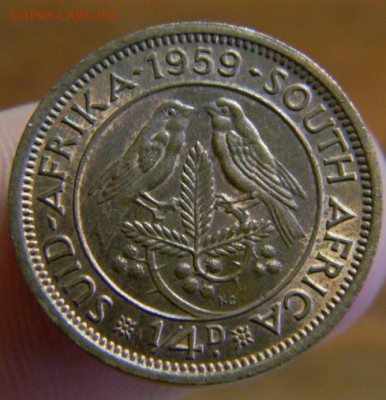 фартинг юар 1959 - DSCN3222.JPG