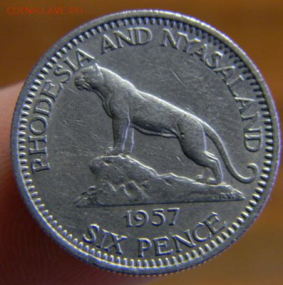 6 пенсов родезия и ньясаленд 1957 - DSCN3230.JPG