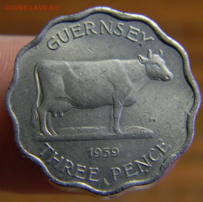 3 пенса гернси 1959 - DSCN3242.JPG