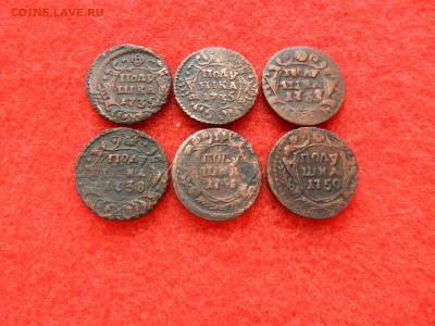 Полушка 6 штук 1735,37,38,48,50 г. - DSCN1591[1].JPG
