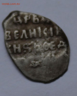 Re: чешуя на оченку и датировку - IMG_1662.JPG