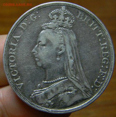 Викторианские кроны - DSCN3303.JPG
