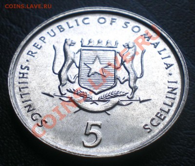 Сомали 5 шиллингов 2000 г. ФАО до 2.04.11 г. 18.00 мск. - IMGP0062