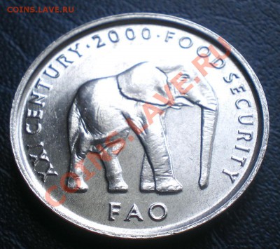 Сомали 5 шиллингов 2000 г. ФАО до 2.04.11 г. 18.00 мск. - IMGP0063