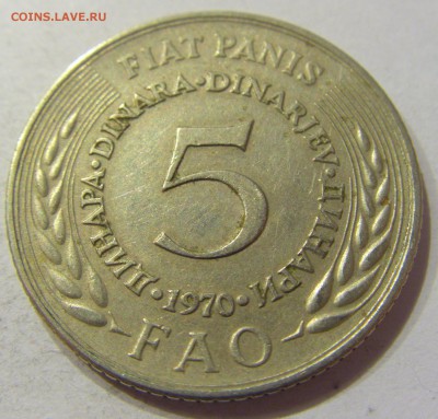 5 динар 1970 ФАО Югославия №1 19.01.2018 22:00 МСК - CIMG9927.JPG