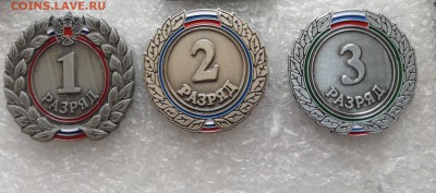 Россия 1,2,3 разряды тм, до 18.01.18г - image-14-01-18-20-30-19