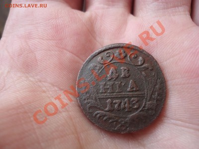 Денга 1743г-9перьев в крыле. Оценка - DSC00656.JPG