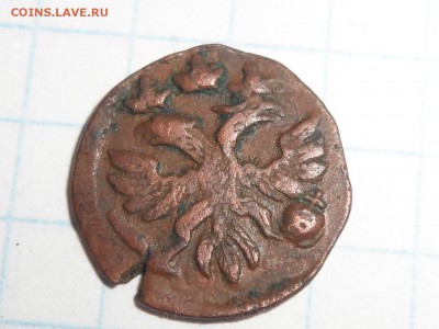 монета Полушка1720года.  до 22.01.18. в 22-00ч. - SAM_0138.JPG