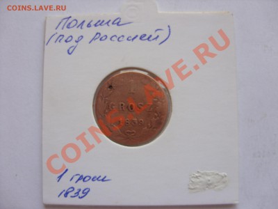 Польша под Россией 1 грош 1818 и 1 грош 1839 - SDC10019.JPG