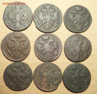 Денга 1731-1751 г.,9 шт.До 18.01.2018 г.,22.00 мск. - 101_1554.JPG