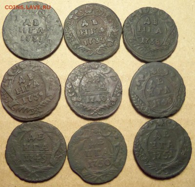Денга 1731-1751 г.,9 шт.До 18.01.2018 г.,22.00 мск. - 101_1550.JPG