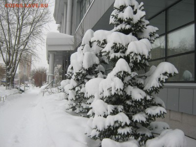 Стихи на заданную тему - IMG_4361[3].JPG